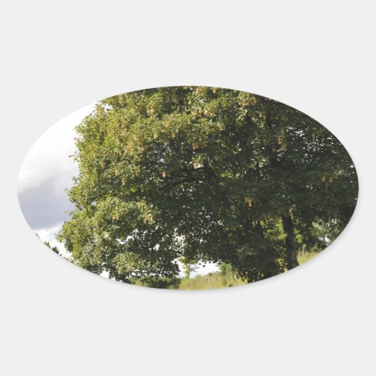 Kanalboote Ovaler Aufkleber (Vorderseite)