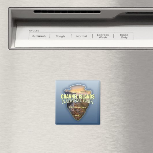 Kanalinseln NP (Pfeilspitzen) Magnet (In Situ (Geschirrspüler))