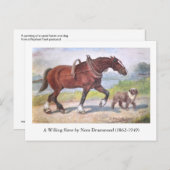 Kanalladelle Postkarte (Vorne/Hinten)