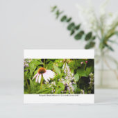 Kanapaha Gardens - Gainesville 013 Postkarte (Stehend Vorderseite)