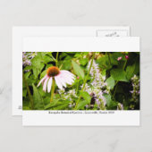 Kanapaha Gardens - Gainesville 013 Postkarte (Vorne/Hinten)