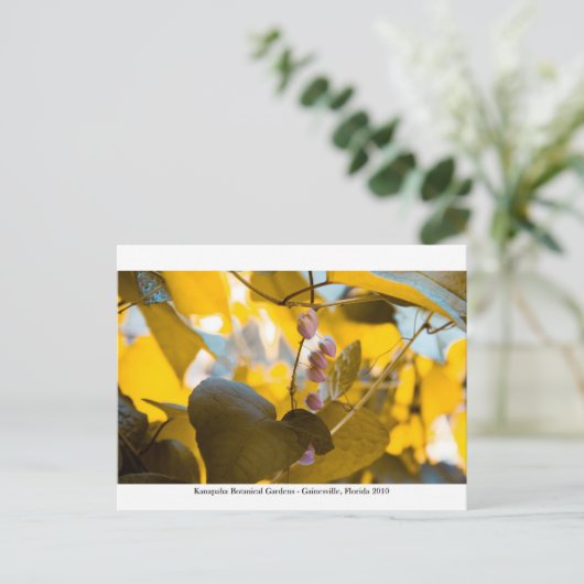 Kanapaha Gardens - Gainesville 015 Postkarte (Stehend Vorderseite)