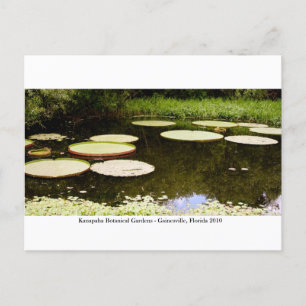 Kanapaha Gardens - Gainesville 2001 Postkarte
