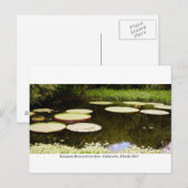 Kanapaha Gardens - Gainesville 2001 Postkarte (Vorne/Hinten)
