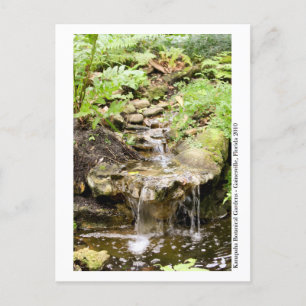 Kanapaha Gardens - Gainesville 2002 Postkarte