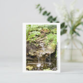 Kanapaha Gardens - Gainesville 2002 Postkarte (Stehend Vorderseite)