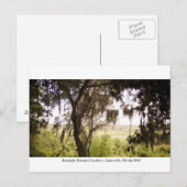 Kanapaha Gardens - Gainesville 2009 Postkarte (Vorne/Hinten)