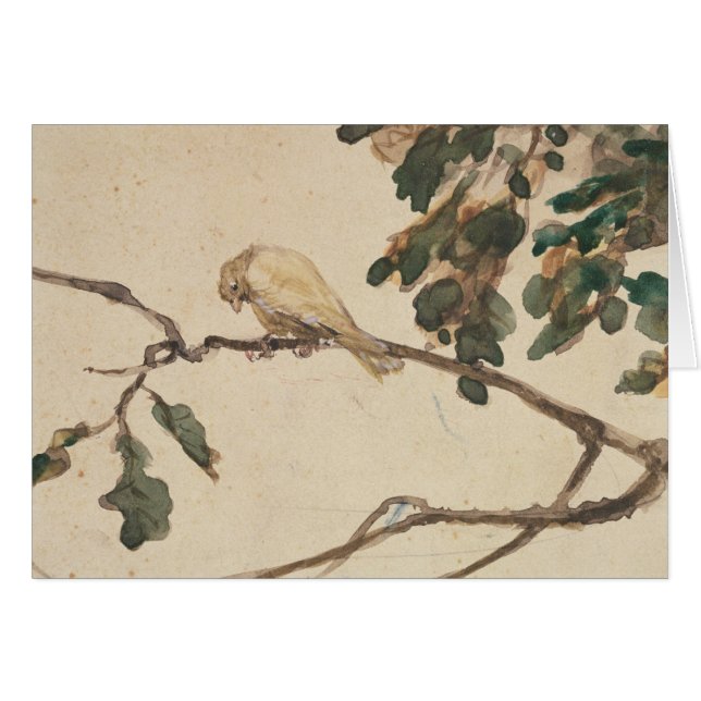 Kanarienvogel auf einer Eichen-Niederlassung (Vorderseite (Horizontal))