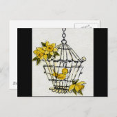Kanarienvögel Postkarte (Vorne/Hinten)