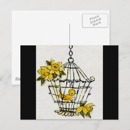 Kanarienvögel Postkarte (Vorne/Hinten)