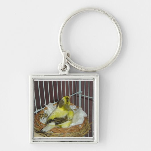 Kanarienvögel Schlüsselanhänger (Vorne)