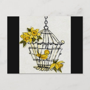 Kanarienvogel und Narzissen Postkarte