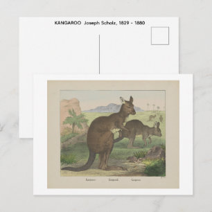KANAROO Joseph Scholz, 1829 - 1880 Postkarte