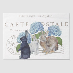 Kanbit Hydrangea Blume Carte Postale Decoupage Seidenpapier