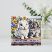 Kanbits Do Speak Lop Oared Bunny (Stehend Vorderseite)