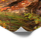 Kancamagus Highway Cascade im Herbst Poster (Ecke)