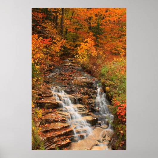 Kancamagus Highway Cascade im Herbst Poster (Vorne)