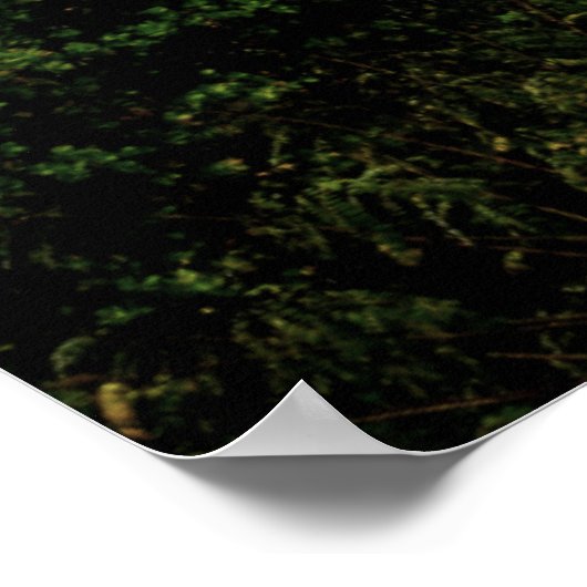 Kandy Tempel, Sri Lanka Poster (Ecke)