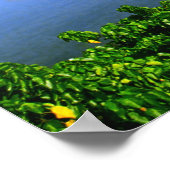 Kaneohe Bay Print Poster (Ecke)