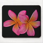 Kaneohe SonnendurchbruchPlumeria Mousepad (Vorne)