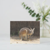 Kanga Postkarte (Stehend Vorderseite)