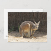 Kanga Postkarte (Vorne/Hinten)