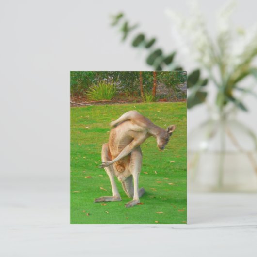 Kanga Postkarte (Stehend Vorderseite)