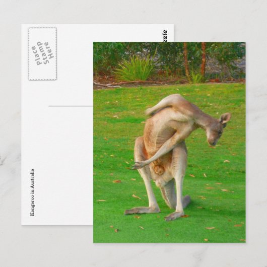 Kanga Postkarte (Vorne/Hinten)