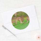 Kanga Runder Aufkleber (Umschlag)