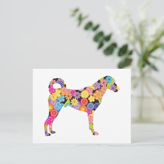 Kangal Dog Postkarte (Stehend Vorderseite)