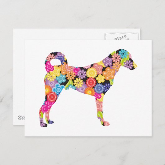 Kangal Dog Postkarte (Vorne/Hinten)