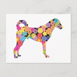 Kangal Dog Postkarte