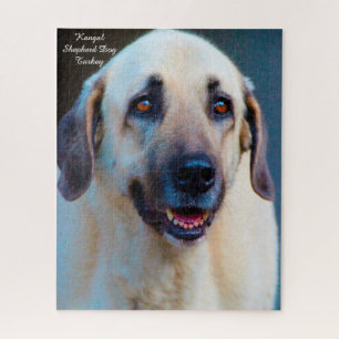 Kangal Hund. Jigsaw Puzzle