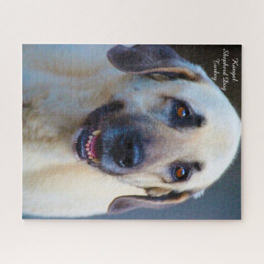 Kangal Hund. Jigsaw Puzzle (Horizontal)