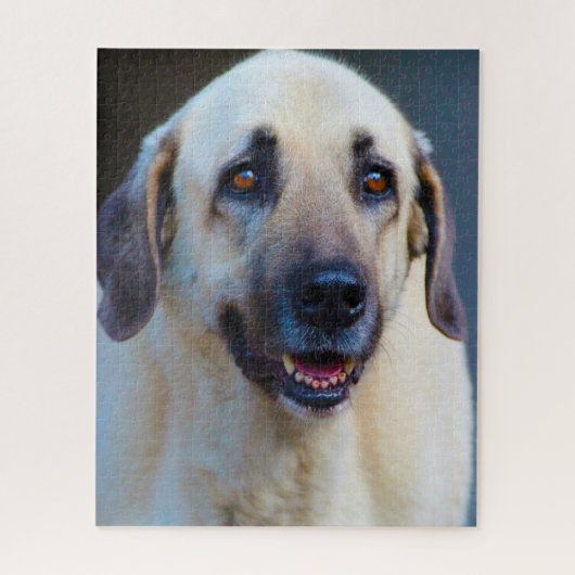 Kangal Hund. Puzzle (Vertikal)