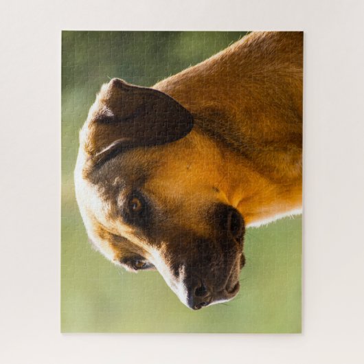 Kangal Hund. Puzzle (Vertikal)