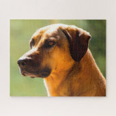 Kangal Hund. Puzzle (Horizontal)