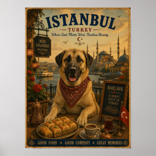Kangal in Istanbul Vintage Reiseposter Poster