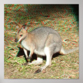 Kangaroo 3D Anaglyph Poster (Vorne)