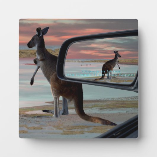 Kangaroo am Strand, Fotoplatte (Vorderseite)