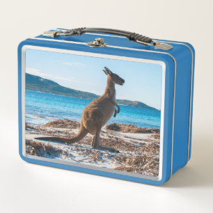 Kangaroo am Strand Lucky Bay Australien Metall Brotdose