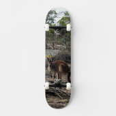 Kangaroo auf dem Billabong, vollständiges Skateboa Skateboard (Vorderseite)