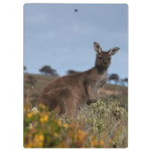 Kangaroo Australia Foto Klemmbrett (Rückseite)