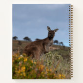 Kangaroo Australia Frühlingsblumen Doppelseitig Notizblock (Rückseite)