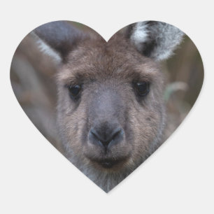 Kangaroo Australien Herz-Aufkleber