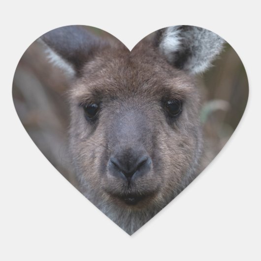 Kangaroo Australien Herz-Aufkleber (Vorderseite)