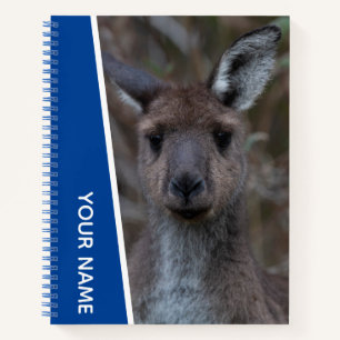 Kangaroo Baby Joey Portrait Australia, Blue Notizblock