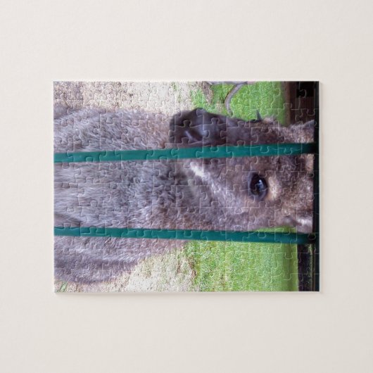 Kangaroo behind bars puzzle (Horizontal)