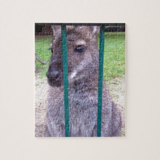 Kangaroo behind bars puzzle (Vertikal)