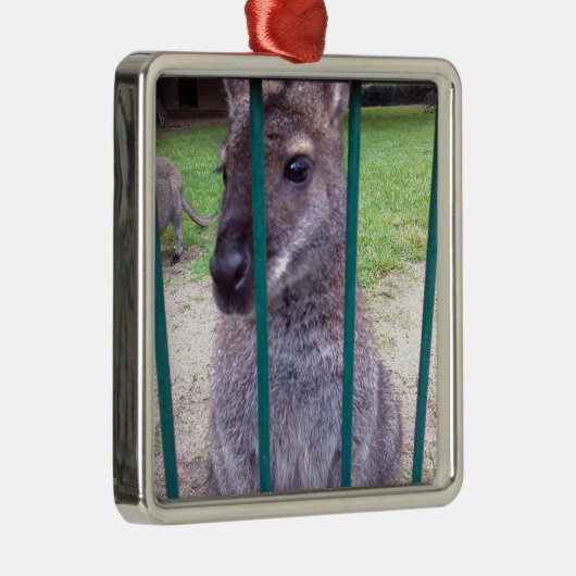 Kangaroo behind bars silbernes ornament (Rechts)